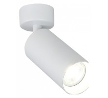 Спот SIMPLE STORY 2033 2033-1CLW