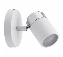 Спот Paulmann Zyli 66710