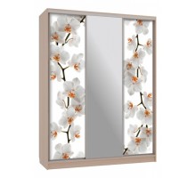 Шкаф-купе Бассо 10-600 83