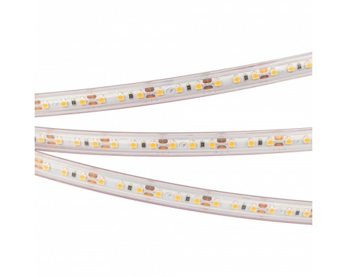Лента светодиодная [5 м] Arlight  022319(2)
