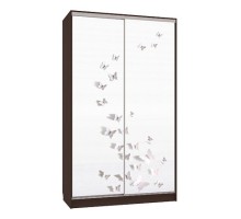 Шкаф-купе Рио 7-600 18