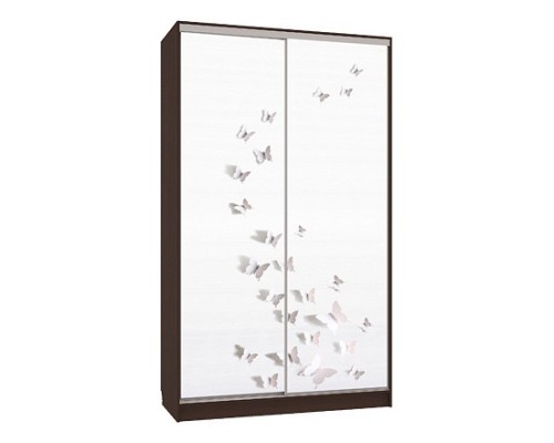 Шкаф-купе Рио 7-600 18