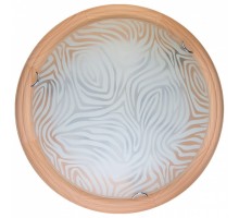 Накладной светильник TopLight Agatha TL9260Y-00PN