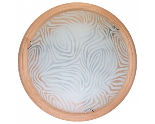 Накладной светильник TopLight Agatha TL9260Y-00PN