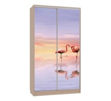 Шкаф-купе Рио 7-600 19