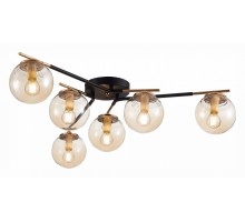 Потолочная люстра EVOLUCE Literno SLE106902-06