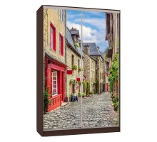 Шкаф-купе Рио 7-600 яблоня