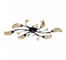 Потолочная люстра MW-Light Восторг 20 242017006