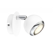 Спот Globo Oman 57882-1