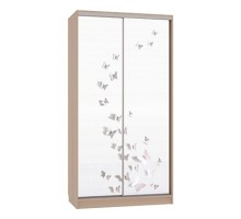 Шкаф-купе Рио 7-600 18