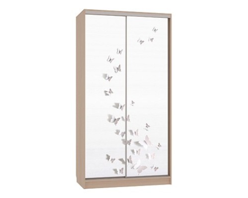 Шкаф-купе Рио 7-600 18