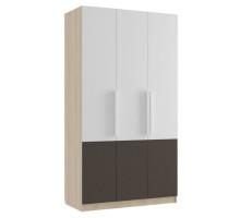 Шкаф платяной Илия М8