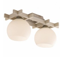 Накладной светильник Citilux Нарита 