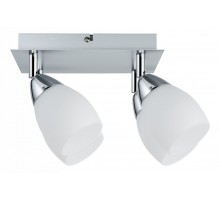 Спот Paulmann Wolba 60266