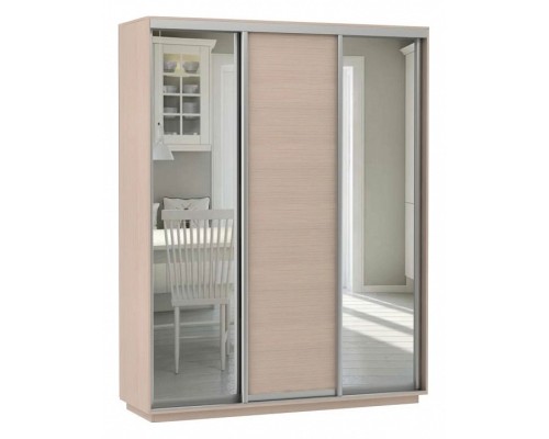 Шкаф-купе Экспресс Медиум (2 зеркала) Трио 2400x600x2200