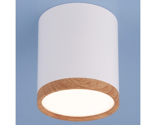 Накладной светильник Elektrostandard Dlr024 a040548