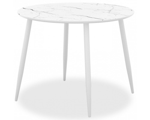 Стол обеденный DikLine SFR100