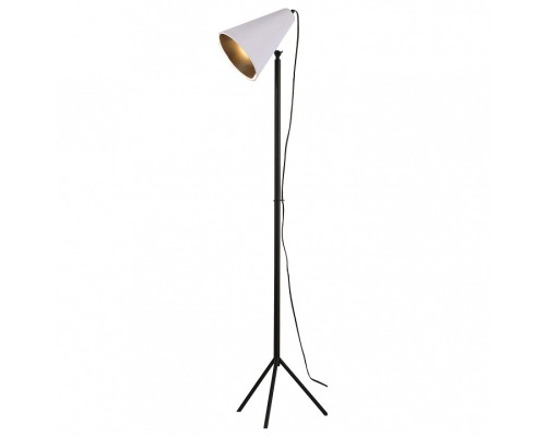 Торшер Lussole Cozy