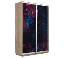 Шкаф-купе Экспресс Фото дуо 1004 1400x450x2400