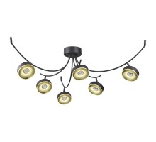 Потолочная люстра Odeon Light Fineca 3812/42CL