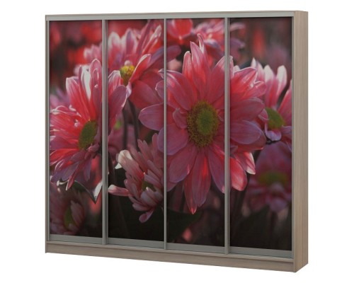 Шкаф-купе Джордано-4 2500x496x2200 мм