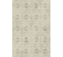 Ковер интерьерный (240x340 см) Royal Palace