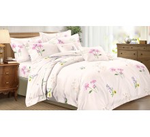 Постельное белье евростандарт Art Color 030-AC