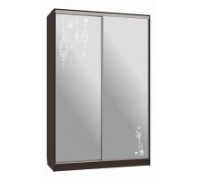 Шкаф-купе Гранд 4-600 птицы