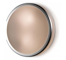 Накладной светильник Odeon Light Yun 2177/1C