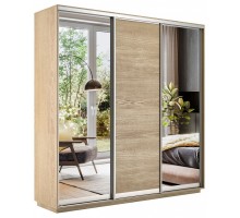 Шкаф-купе Экспресс Медиум