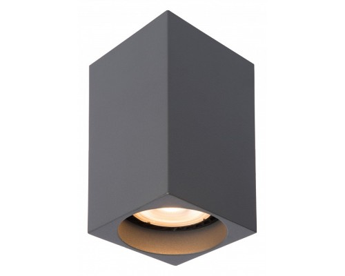 Накладной светильник Lucide Delto 09916/06/36