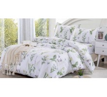 Постельное белье евростандарт AP-16