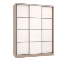 Шкаф-купе Бассо 2-600