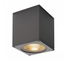 Накладной светильник SLV Big Theo 234525