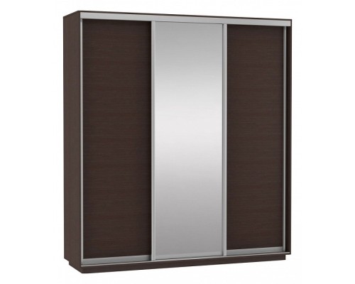 Шкаф-купе Экспресс Медиум (1 зеркало) Трио 2400x600x2200