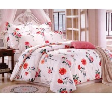 Постельное белье евростандарт C-196