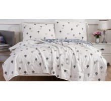 Постельное белье полутораспальное Дарси
