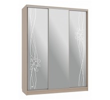 Шкаф-купе Бассо 4-600 волны 2