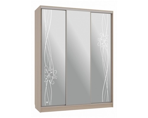 Шкаф-купе Бассо 4-600 волны 2