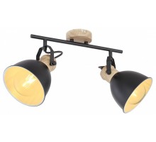 Спот Globo Wiho 54018-2S