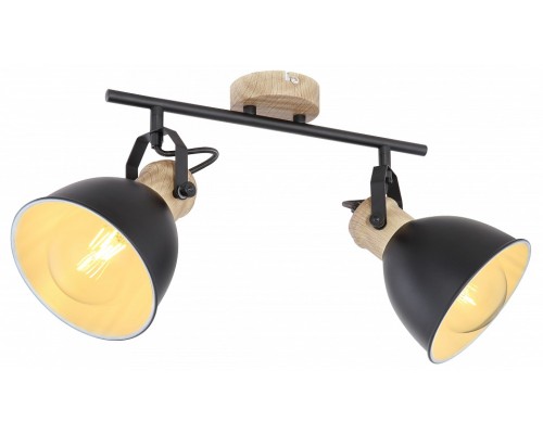 Спот Globo Wiho 54018-2S