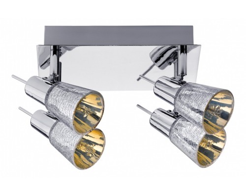 Спот Paulmann Omikron 60317