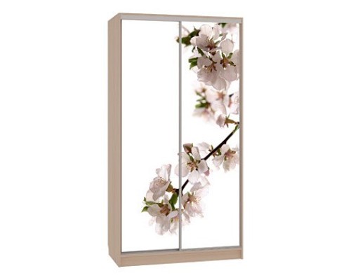 Шкаф-купе Рио 7-600 яблоня