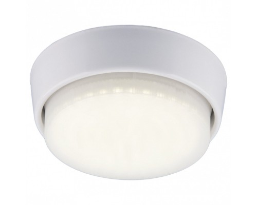 Накладной светильник Elektrostandard 1037 a032898