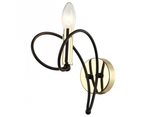 Бра Lussole Powell