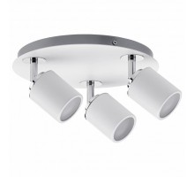 Спот Paulmann Tube 66719