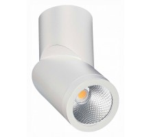 Светильник на штанге ST-Luce ST650 