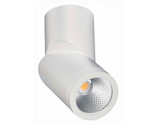 Светильник на штанге ST-Luce ST650 