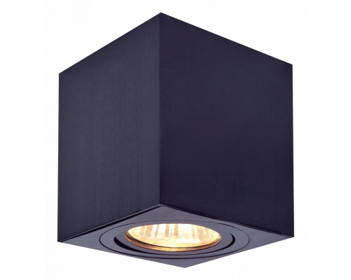 Накладной светильник Citilux Дюрен