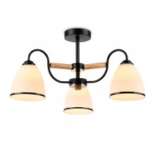 Люстра на штанге Ambrella Light TR TR3033241